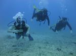 Hawaii Scuba divng 37