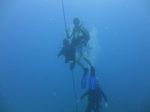 Hawaii Scuba divng 39