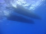 Hawaii scuba 06