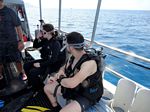 Hawaii Scuba divng 12