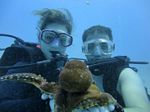 Hawaii Scuba divng 13