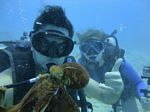 Hawaii Scuba divng 20