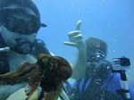 Hawaii Scuba divng 21