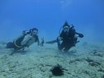 Hawaii Scuba divng 28