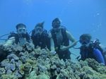 Hawaii Scuba divng 31