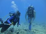 Hawaii Scuba divng 35