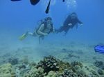 Hawaii Scuba divng 36