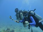 Hawaii Scuba divng 39