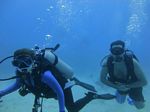 Hawaii Scuba divng 40