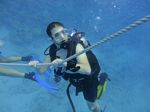 Hawaii Scuba divng 42