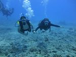 Hawaii Scuba divng 52