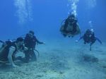 Hawaii Scuba divng 53