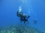 Hawaii Scuba divng 56