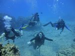 Hawaii Scuba divng 58