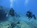 Hawaii Scuba divng 64