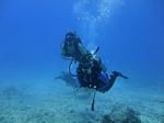 Hawaii Scuba divng 67