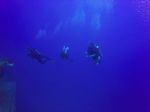 Hawaii Scuba divng 16