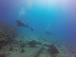 Hawaii Scuba divng 17