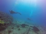 Hawaii Scuba divng 18