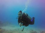 Hawaii Scuba divng 22