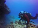 Hawaii Scuba divng 25