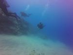 Hawaii Scuba divng 26