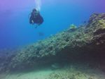 Hawaii Scuba divng 29