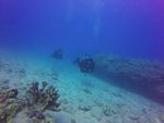 Hawaii Scuba divng 32