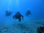 Waikiki scuba 20