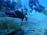 Waikiki scuba 28
