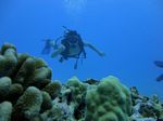 Hawaii Scuba divng 11