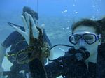 Hawaii Scuba divng 15