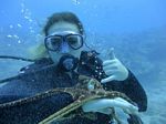 Hawaii Scuba divng 19