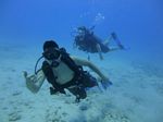 Hawaii Scuba divng 26