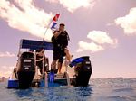 Hawaii Scuba divng 31