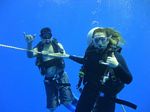 Hawaii Scuba divng 36