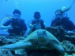 Hawaii Scuba divng 48