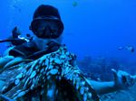 Hawaii Scuba divng 56