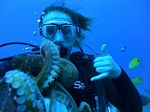Hawaii Scuba divng 60