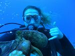 Hawaii Scuba divng 61