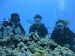 Hawaii Scuba divng 07