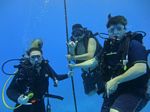 Hawaii Scuba divng 85