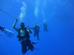 Hawaii Scuba divng 87