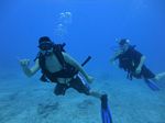 Hawaii Scuba divng 92