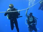 Hawaii Scuba divng 93
