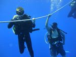 Hawaii Scuba divng 93