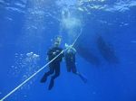 Hawaii Scuba divng 99