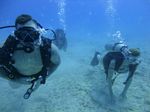 Hawaii Scuba divng 10