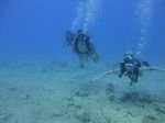 Hawaii Scuba divng 12