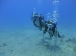 Hawaii Scuba divng 13